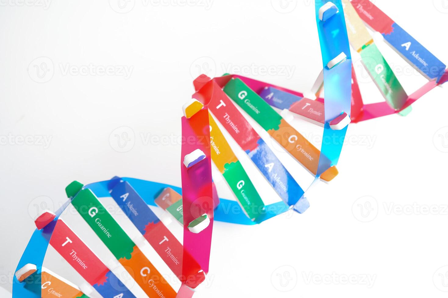 DNA science structure photo