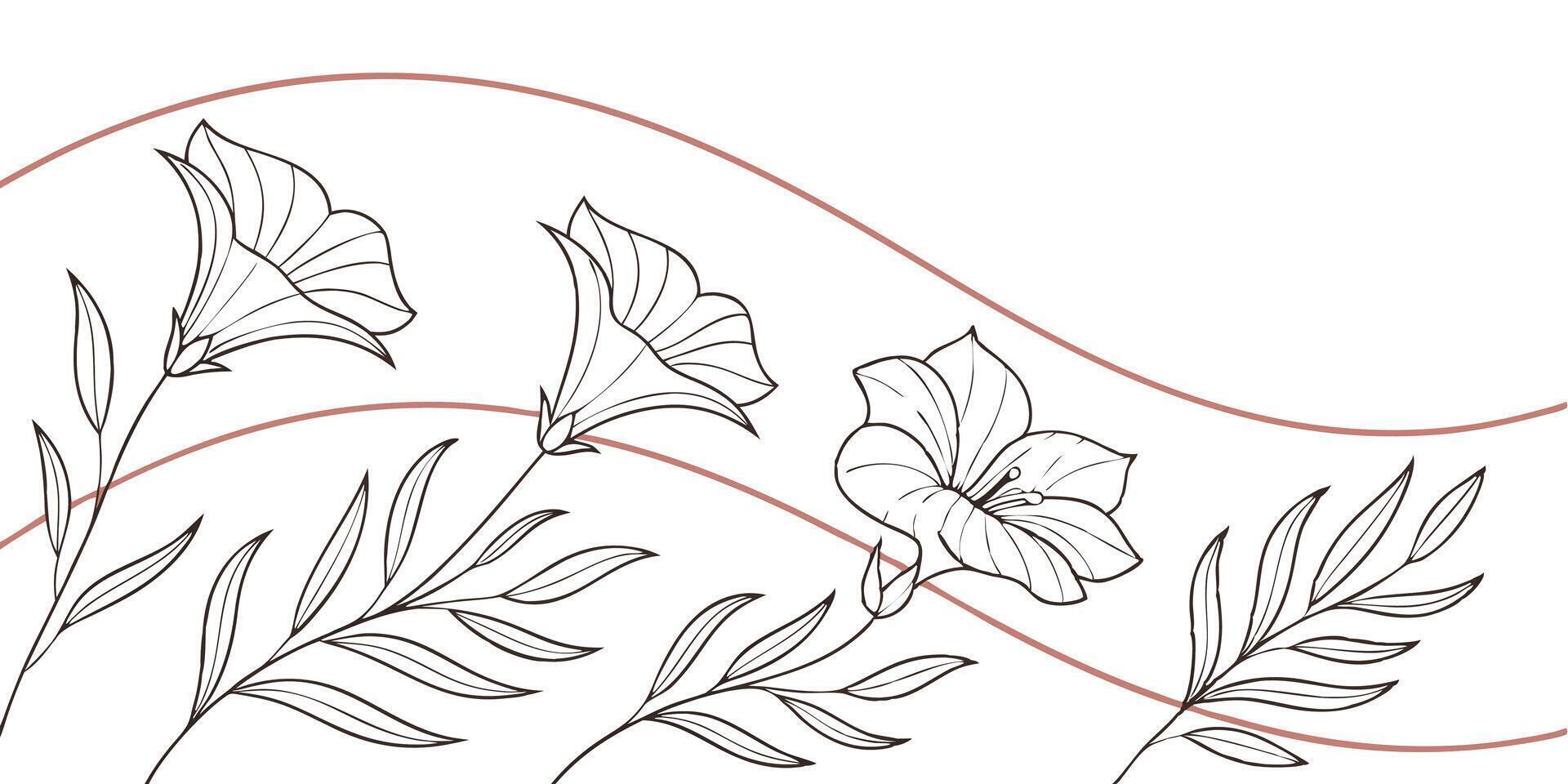 Floral pattern with petunia flowers and leaves in a white background with a curved line vector