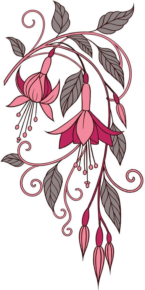 Close-up of the Fuchsia flower arranged beautifully and decorated with vines vector