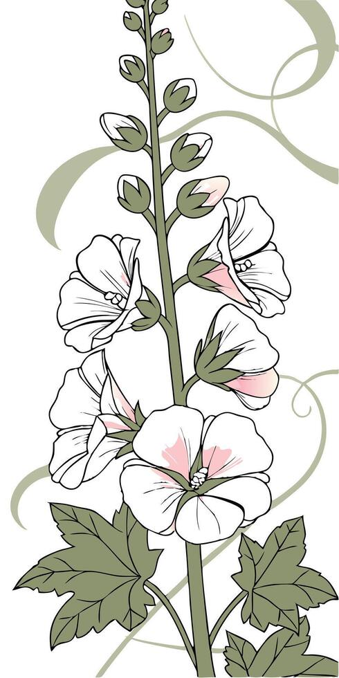 Close-up of the Hollyhock flower arranged beautifully and decorated with vines vector