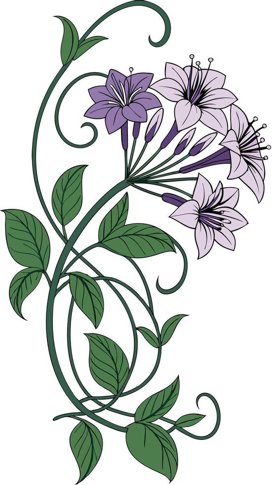 Close-up of the Heliotrope flower arranged beautifully and decorated with vines vector