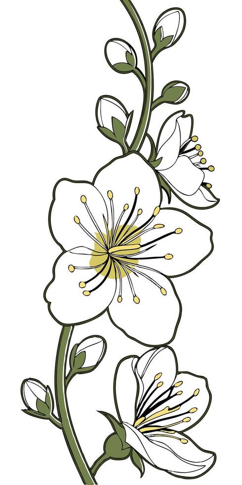 Close-up of the Verbascum flower arranged beautifully and decorated with vines vector