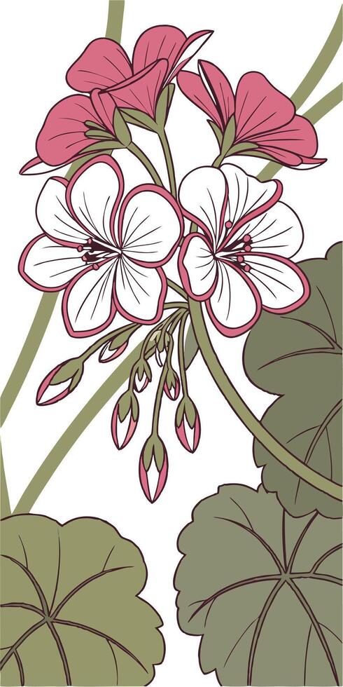 Close-up of the Geranium flower arranged beautifully and decorated with vines vector