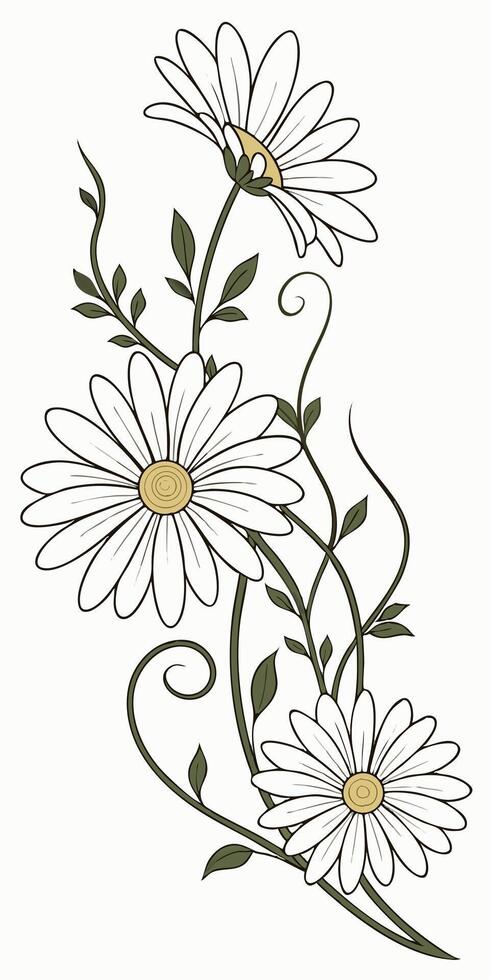 close-up the Daisy flower arranged beautifully and decorated with vines vector