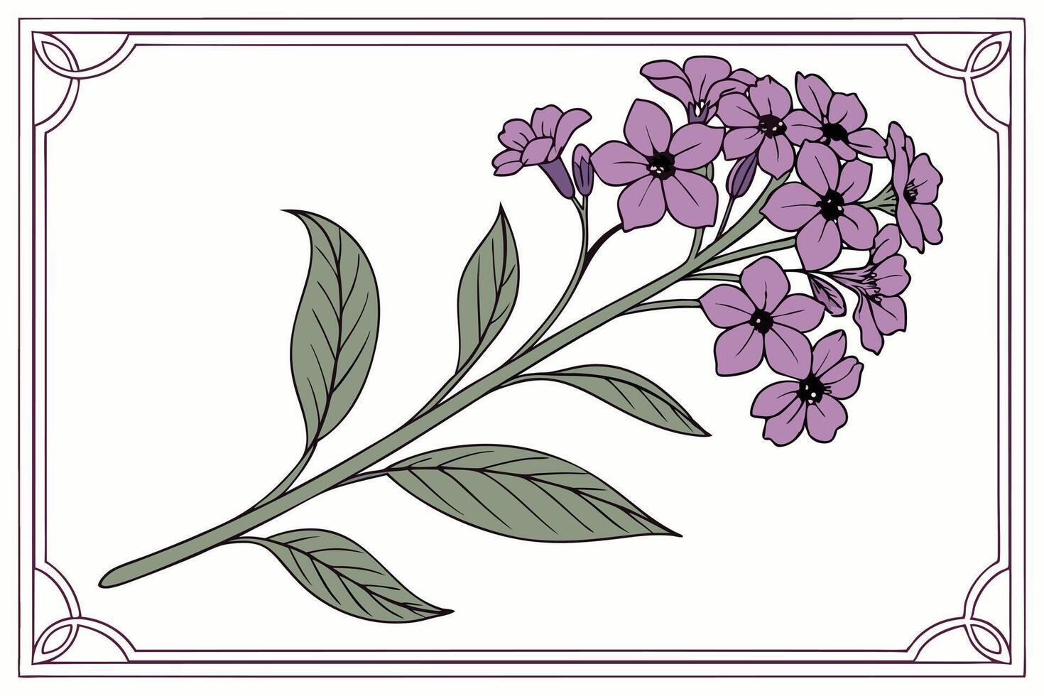 Frame of Heliotrope with transparent background vector