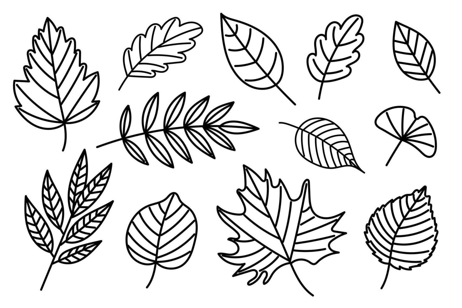 Hand Drawn Black Outline Set of Autumn Leaves vector