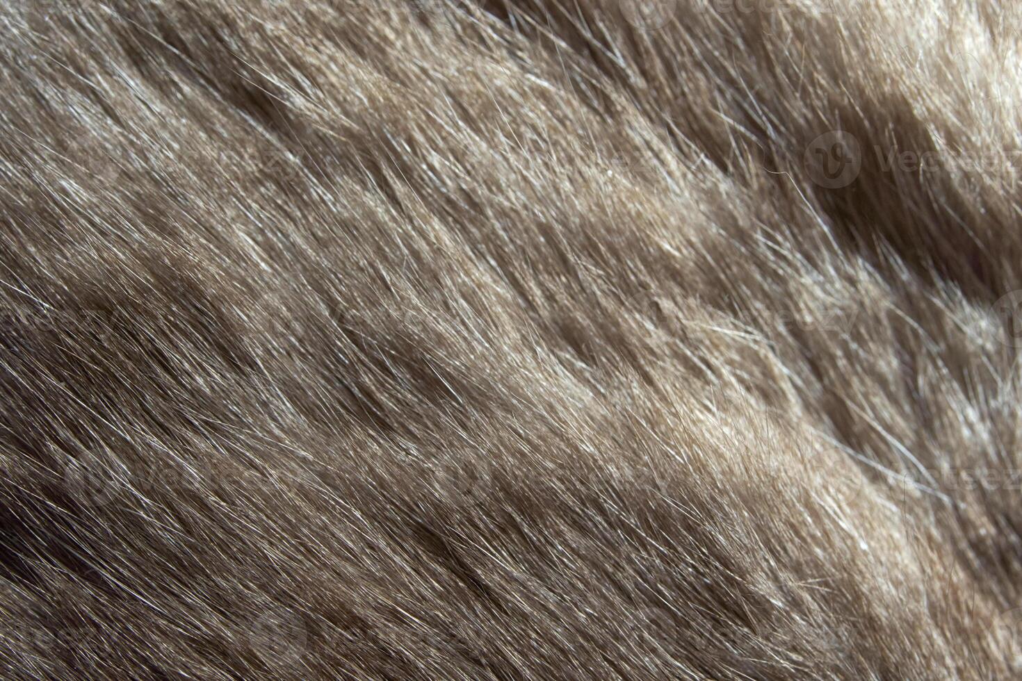 Close-up view of soft brown animal fur texture with natural fibers and detailed patterns. photo
