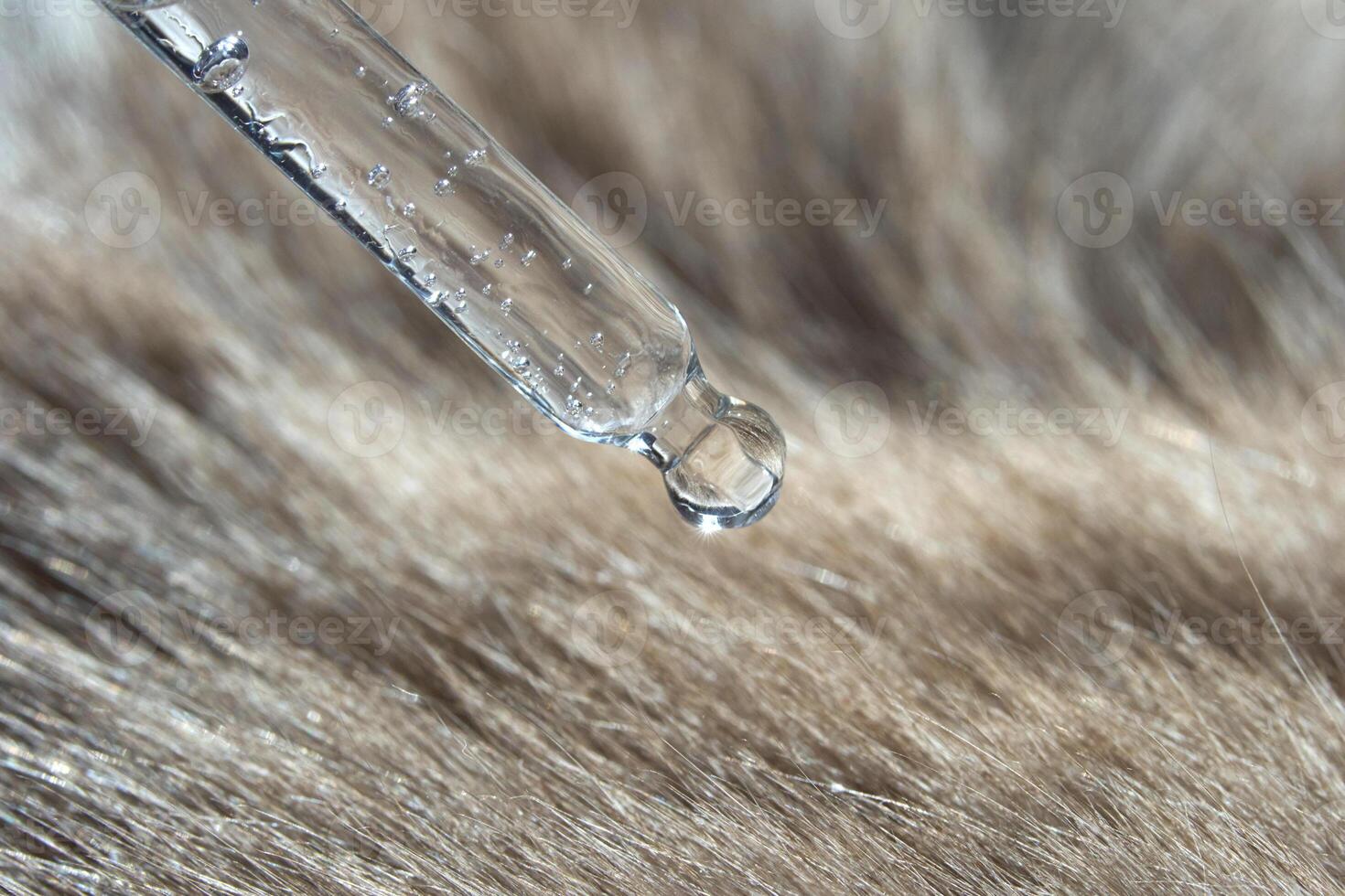 Close-up of pipette with liquid droplet on brown fur surface. photo