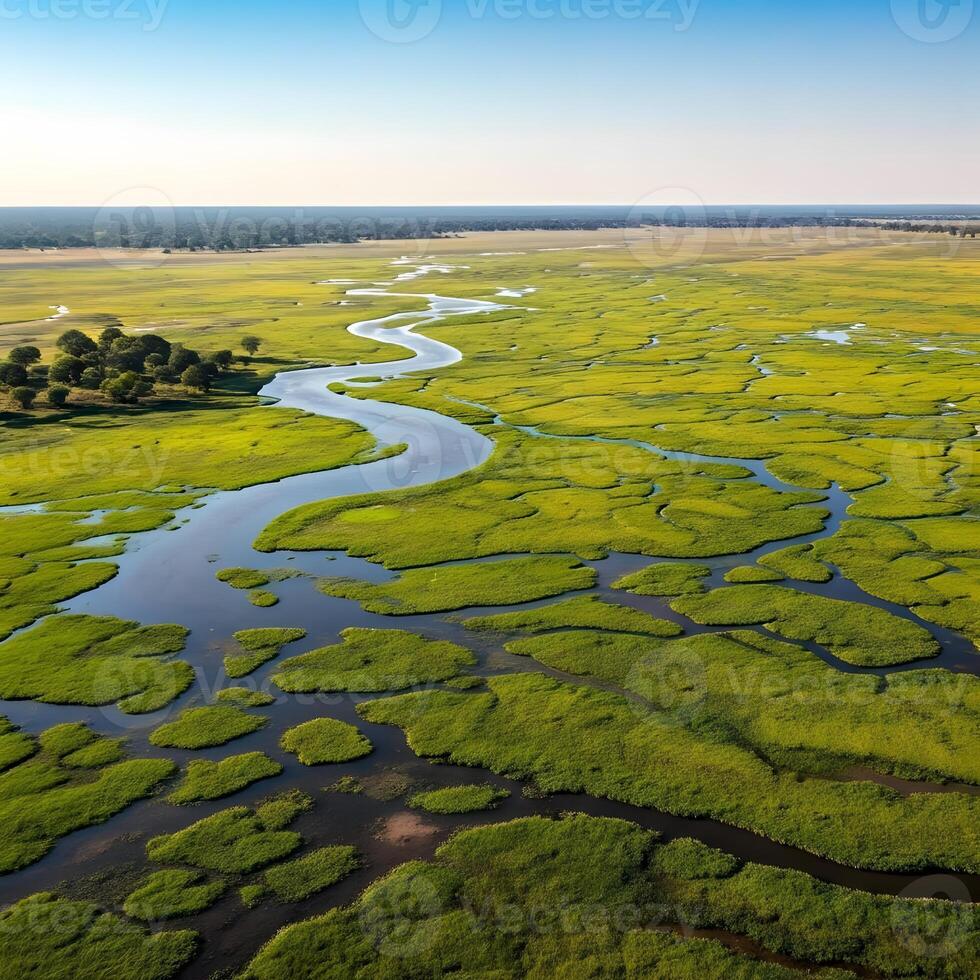 A river flowing through a marshy area photo