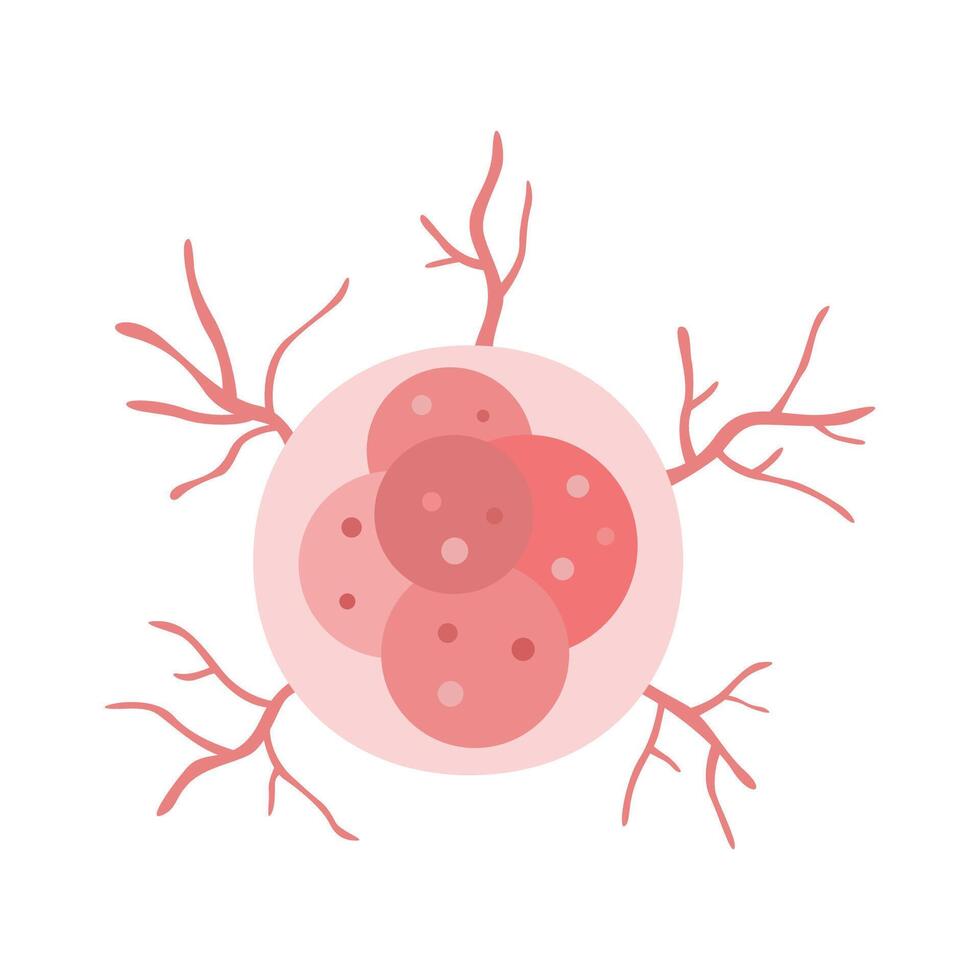 cancer cell developing and spreading root. vector