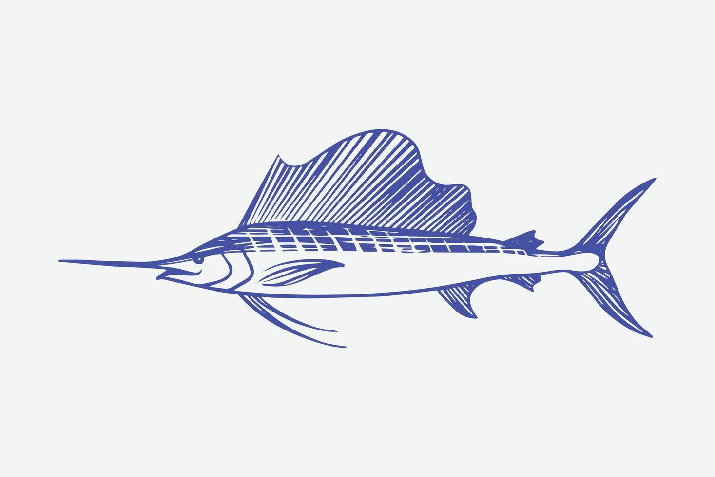 hand drawn sketch of sailfish, billfish illustration. vector