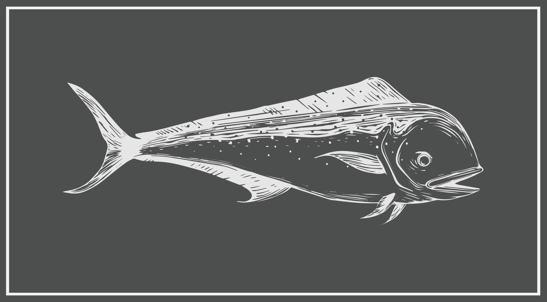 mahi-mahi or dolphin fish chalkboard drawing illustration vector