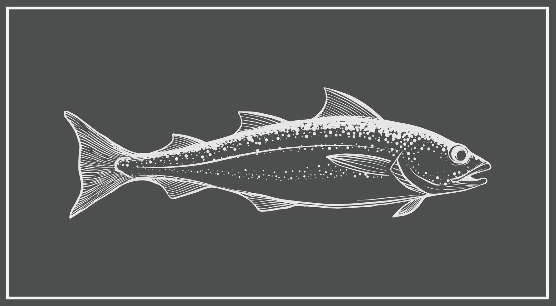 pollock fish chalkboard drawing illustration vector