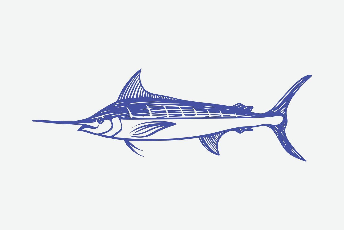 marlin fish sketch hand drawing. vector