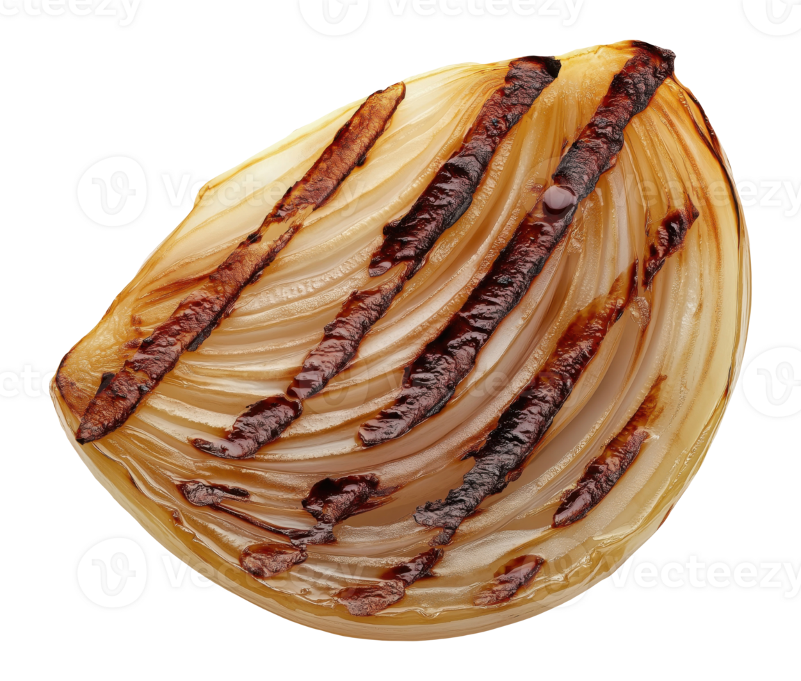 Grilled onion half with grill marks isolated on transparent background, top view png