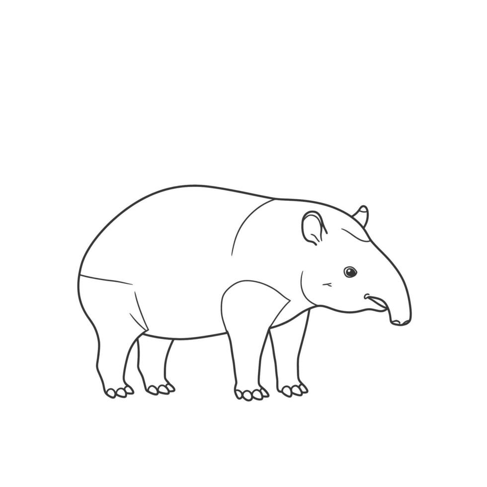 Sketch shows a south american tapir standing in grass. vector