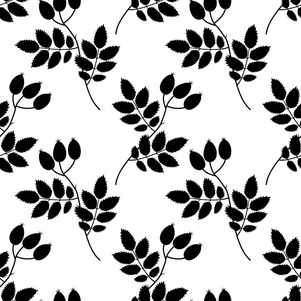 Hand Drawn Silhouette Rose hips on branch with leaves Seamless Pattern Botanical Minimalist Backdrop. Isolated illustration Nature Thematic Cards Background Banner, leaflets, price tag. labels vector