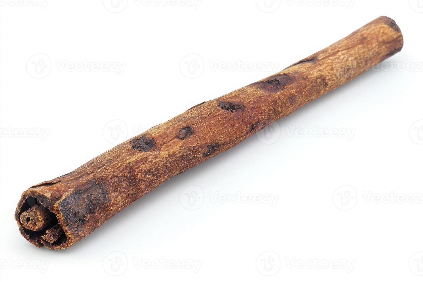 A single cinnamon stick sits on a bright white background photo