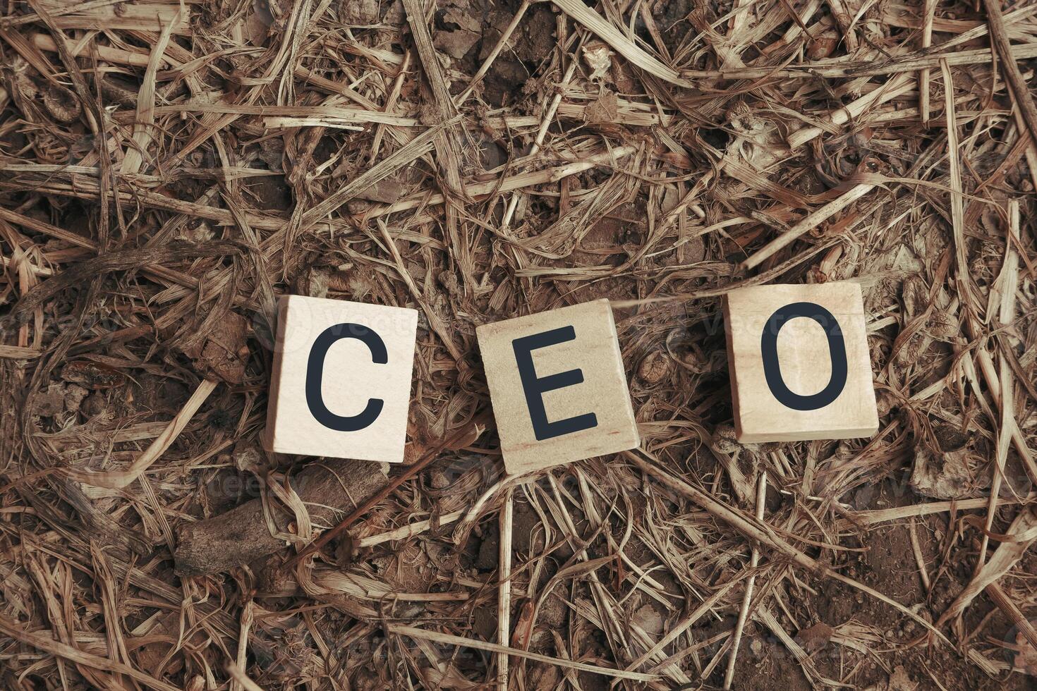 Pile of wood blocks with the letters CEO written on them photo