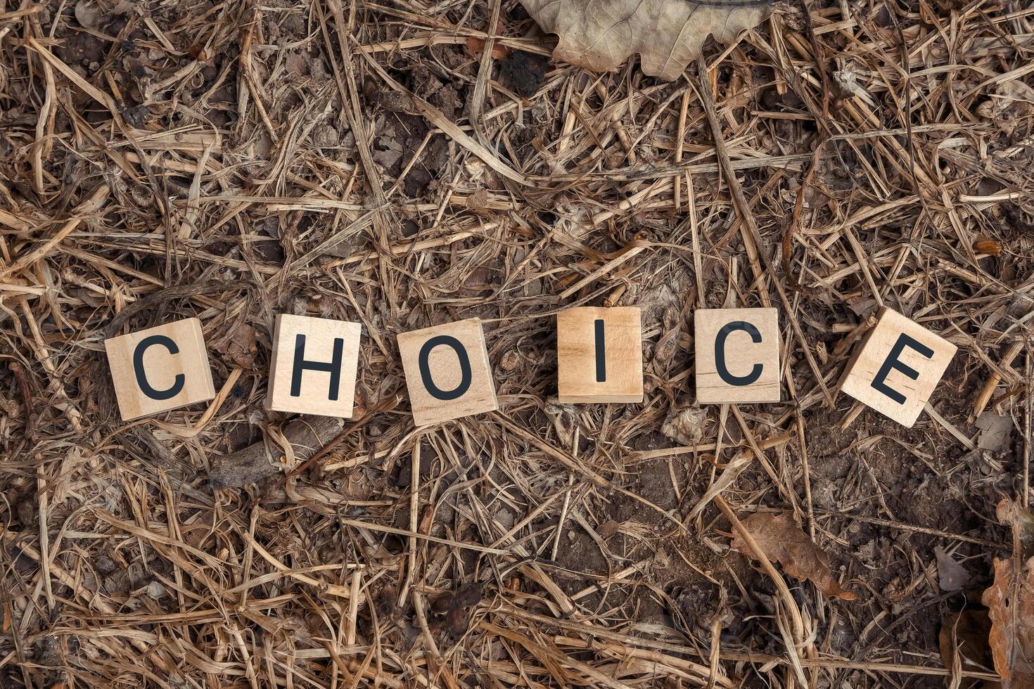 Pile of wooden blocks with the word choice written on them photo