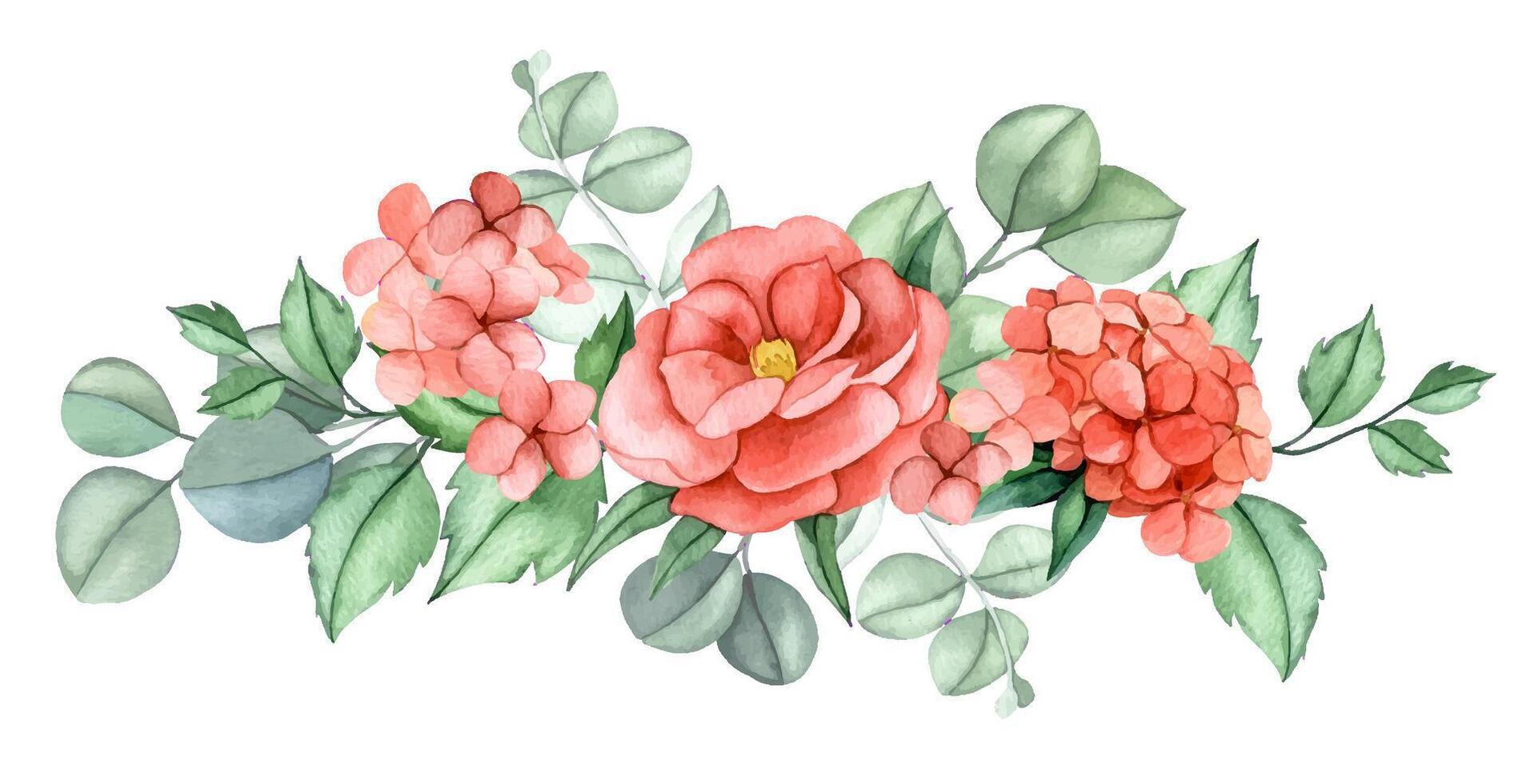 horizontal composition of pink flowers and eucalyptus leaves. watercolor illustration bouquet flowers peony, hydrangea vector
