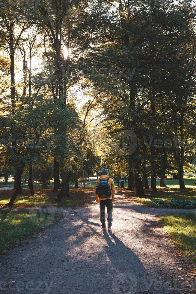 Solo hiker explores Oslo serene park trails, embraced by golden autumn light streaming through tall trees where nature and peace go hand in hand photo
