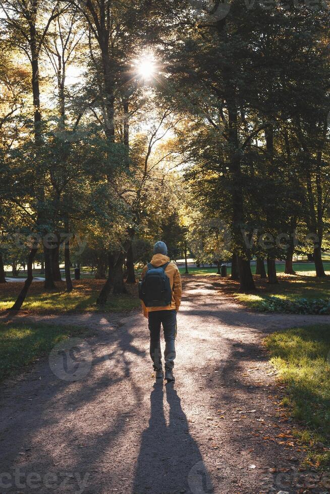 hiker explore Oslo serene park trails, embraced by golden autumn light streaming through tall trees where nature and peace go hand in hand. Norwegian nature photo