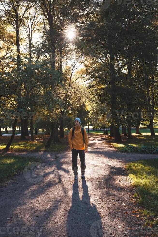 Solo hiker explores Oslo serene park trails, embraced by golden autumn light streaming through tall trees where nature and peace go hand in hand. Norwegian nature photo