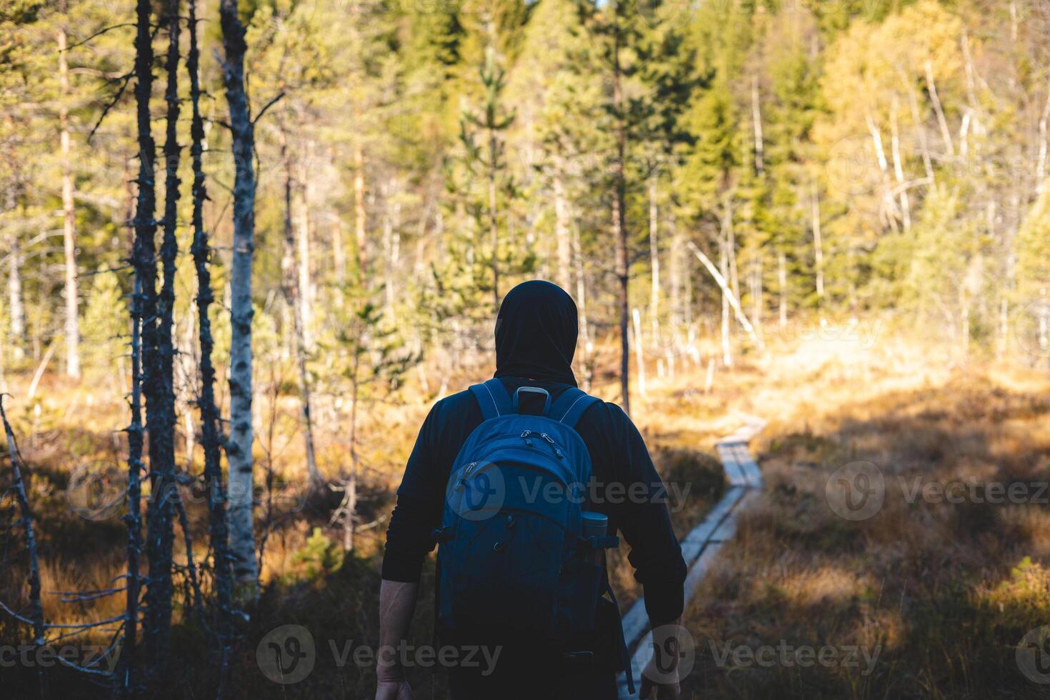Detail on man walks on a narrow wooden trail in Oslo Marka, surrounded by golden autumn light and the silent whisper of Nordic wilderness. Norwegian raw nature photo
