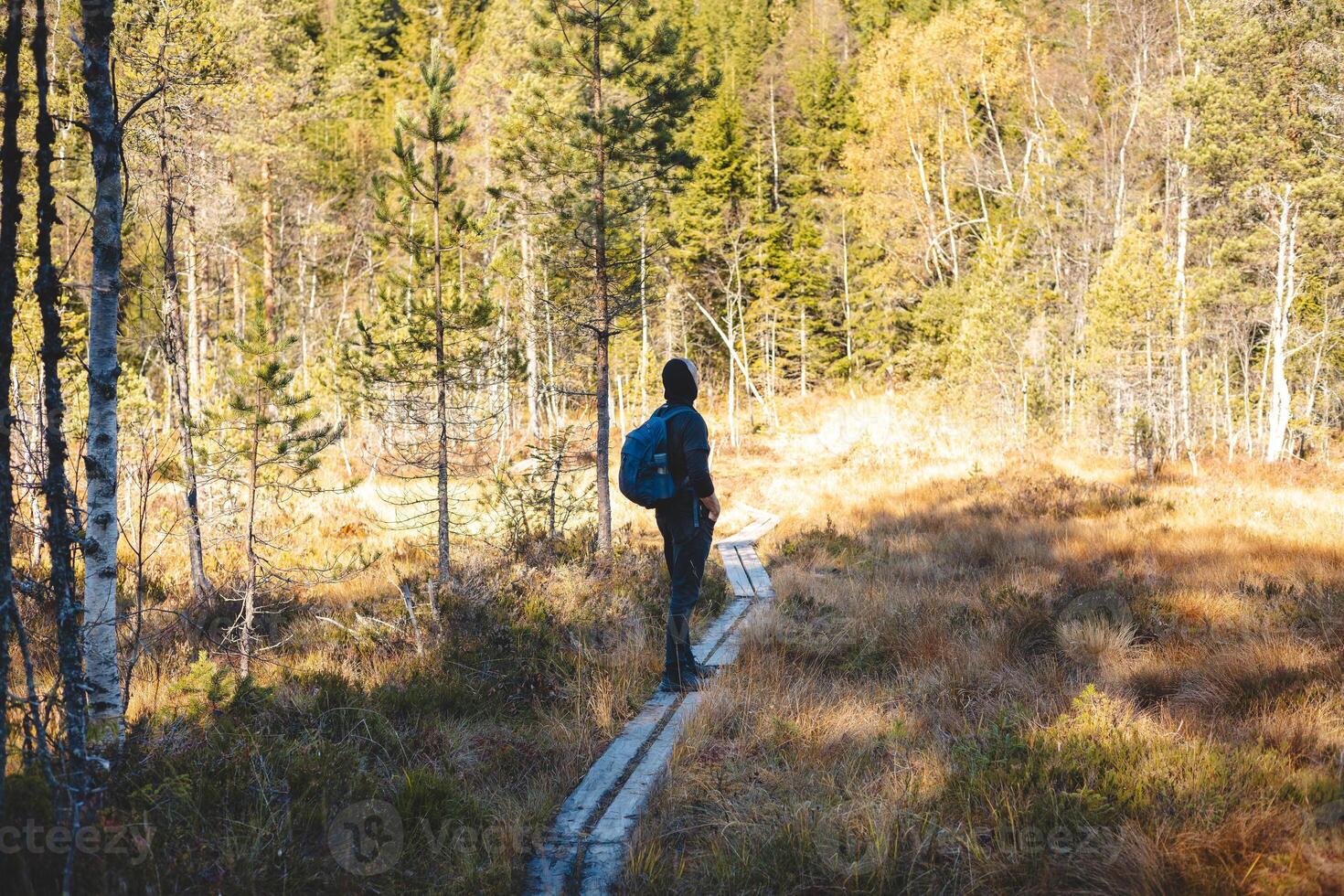 Backpacker walks on a narrow wooden trail in Oslo Marka, surrounded by golden autumn light and the silent whisper of Nordic wilderness. Norwegian raw nature photo