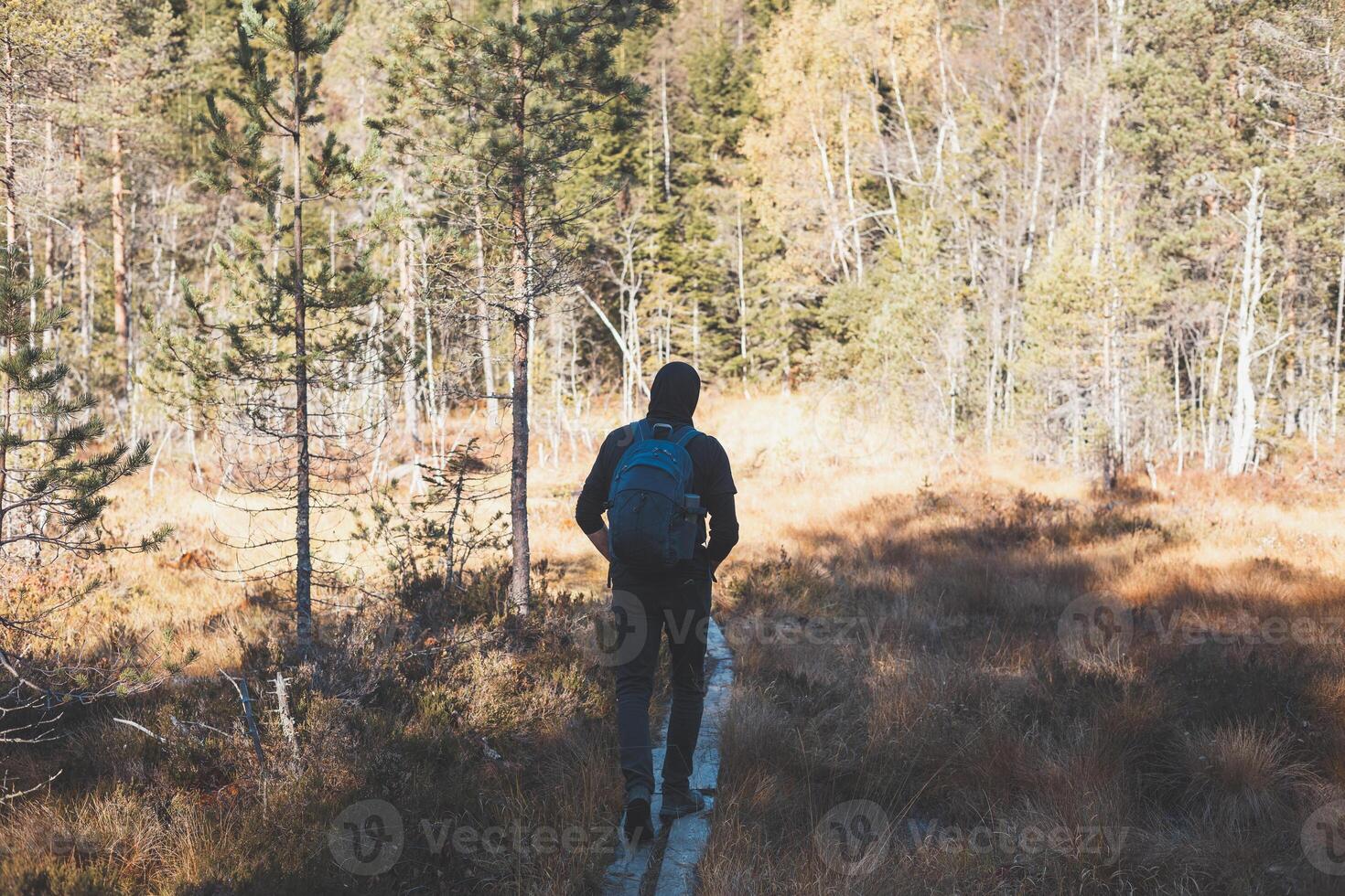 Old man walks on a narrow wooden trail in Oslo Marka, surrounded by golden autumn light and the silent whisper of Nordic wilderness. Norwegian raw nature photo