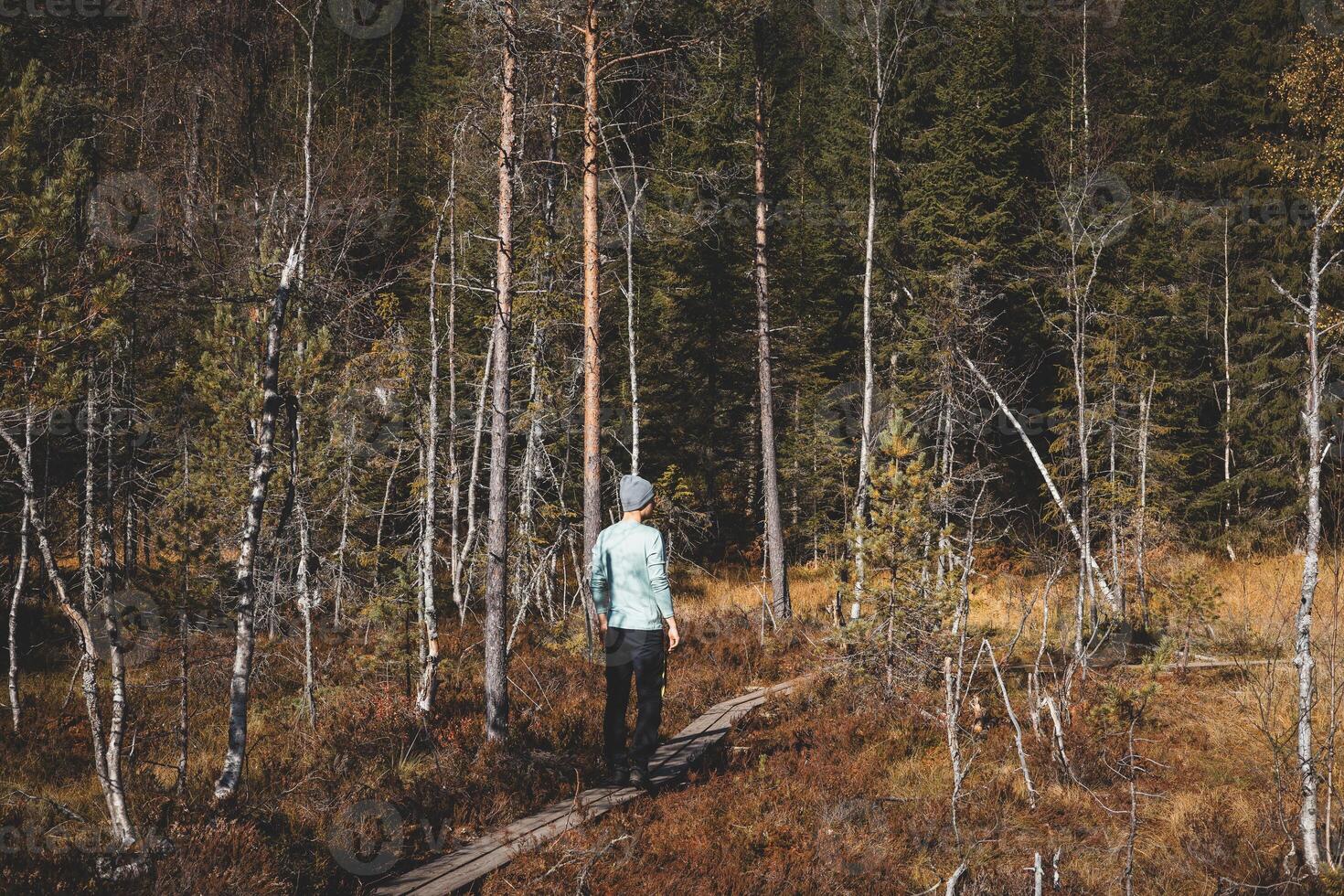 Man walks on a narrow wooden trail in Oslo Marka, surrounded by golden autumn light and the silent whisper of Nordic wilderness. Norwegian raw nature photo