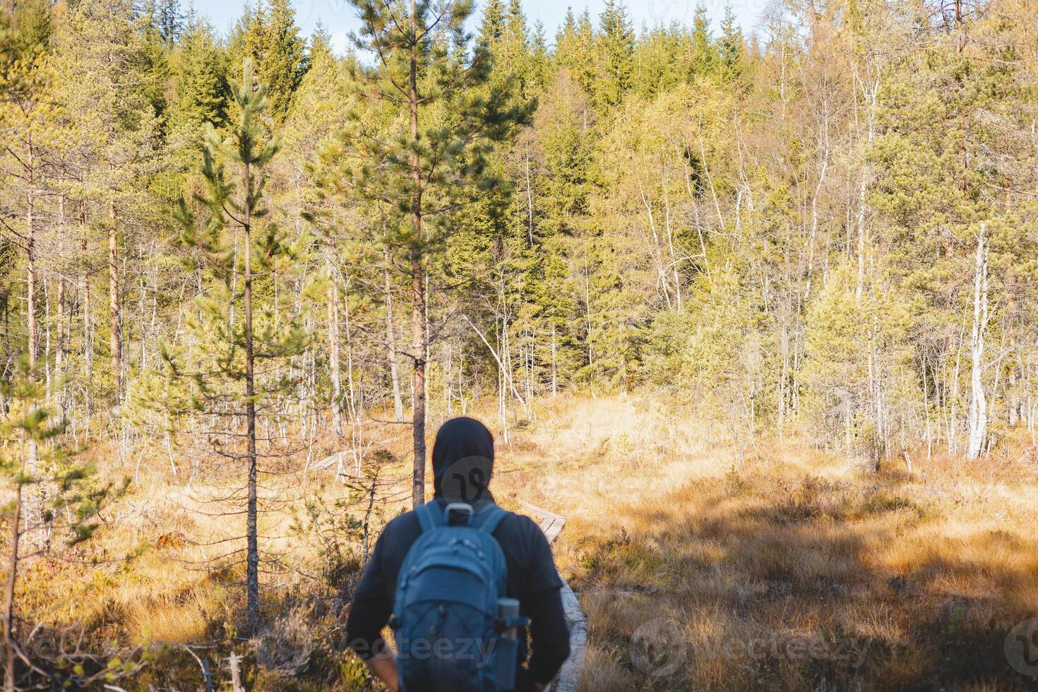 Grandpa walks on a narrow wooden trail in Oslo Marka, surrounded by golden autumn light and the silent whisper of Nordic wilderness. Norwegian raw nature photo