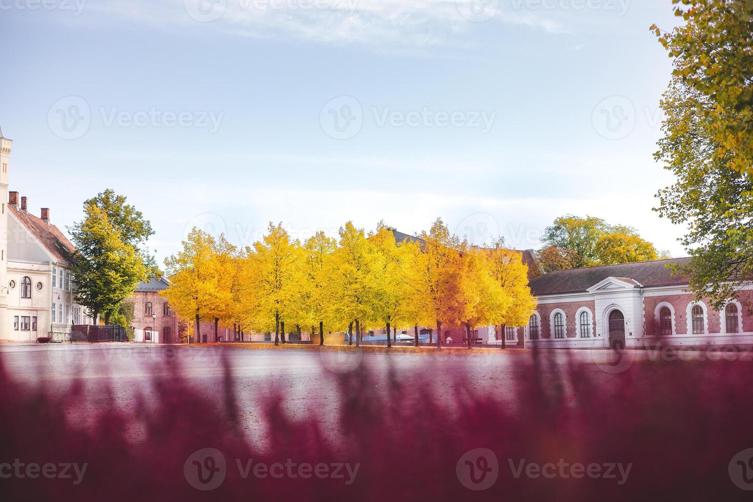 Golden autumn trees glow in a quiet courtyard surrounded by historic buildings, capturing Oslo peaceful charm during a crisp fall morning. Festningsplassen under colours photo