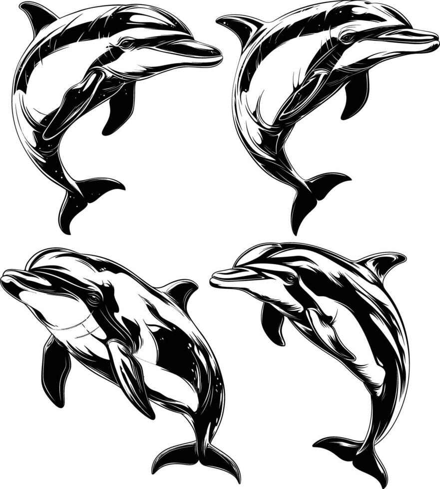 Four Dolphins Formation Swimming Black White Line Art vector