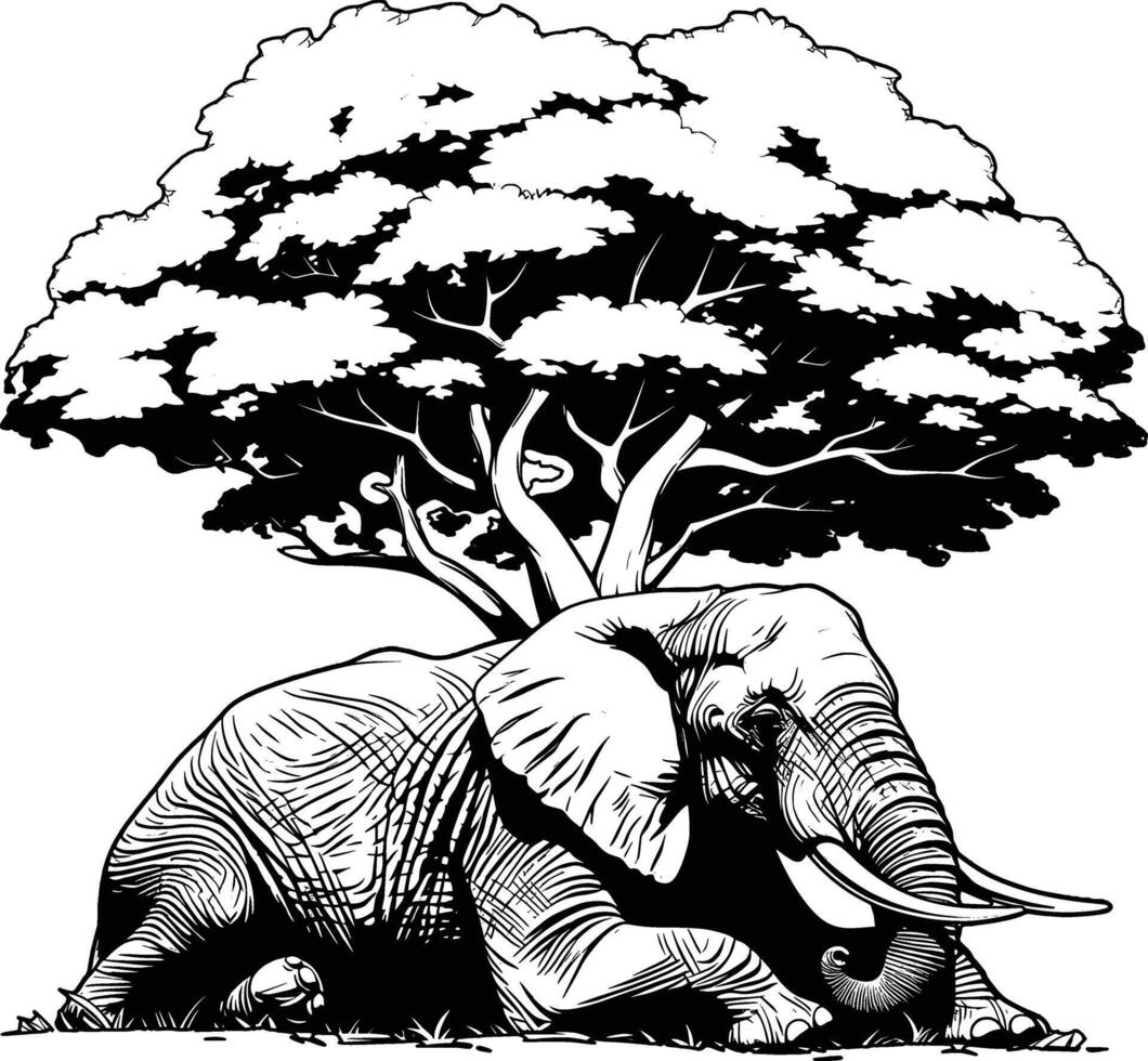 Elephant Tree Background Natural Habitat Black White Line Art vector