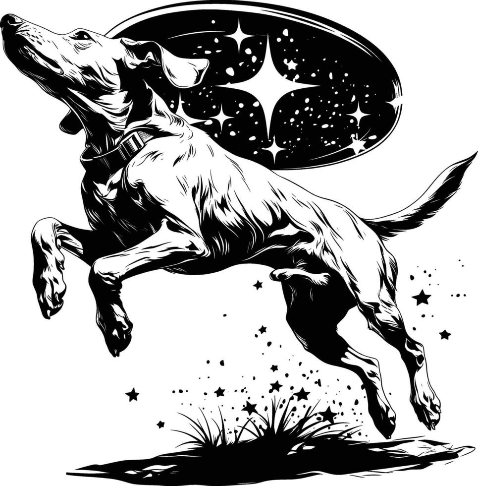 Graceful Dog Constellation Star Pattern Black White Line Art vector