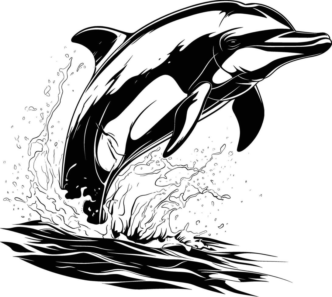 Dolphin Jumping Water Spray Black White Line Art vector