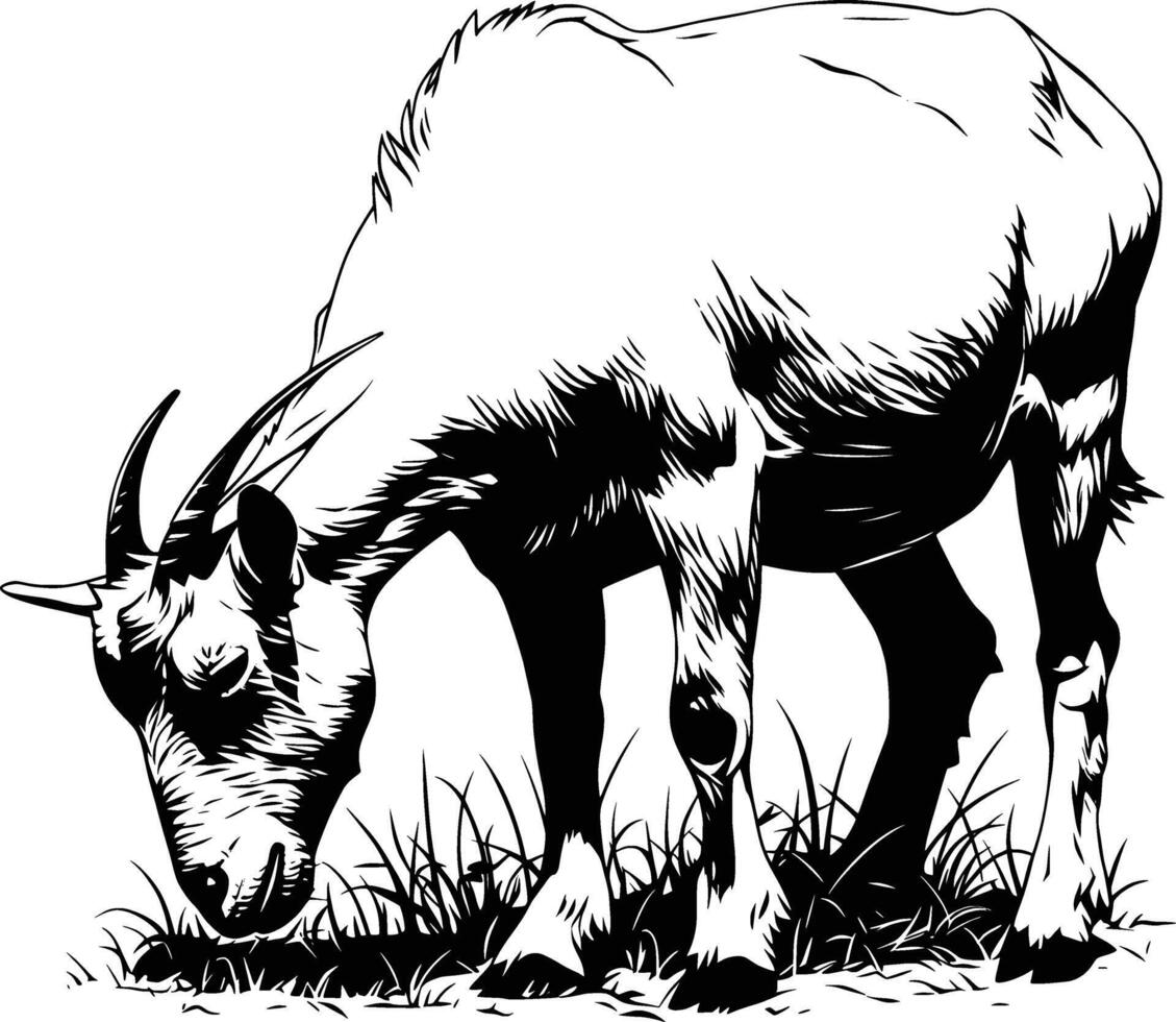 Goat Grazing Calm Pasture Black White Line Art vector