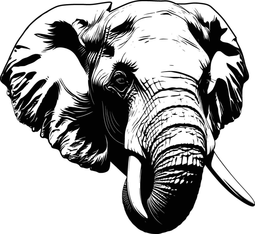 Elephant Head Profile Portrait Black White Line Art vector