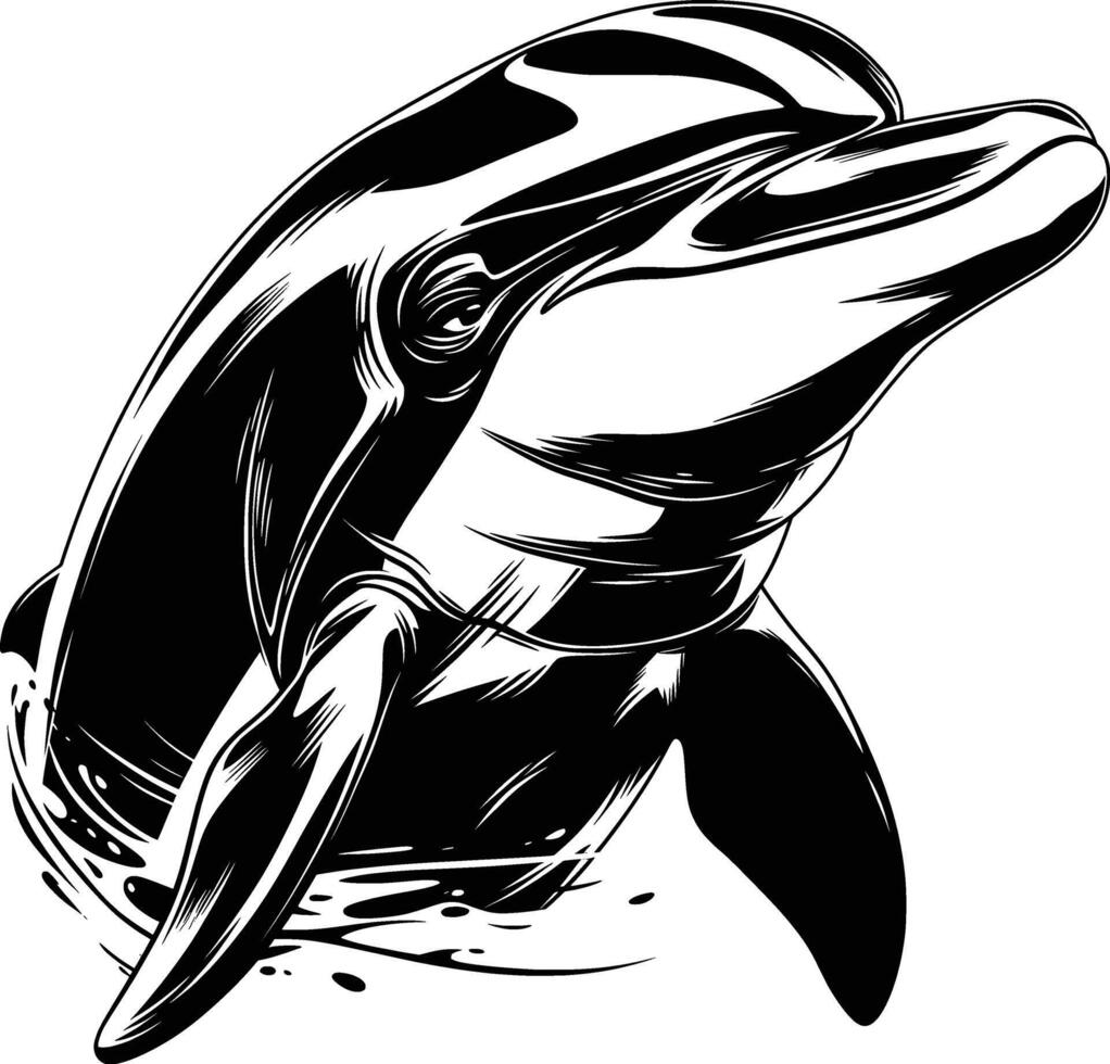 Single Dolphin Artistic Design Black White Line Art vector