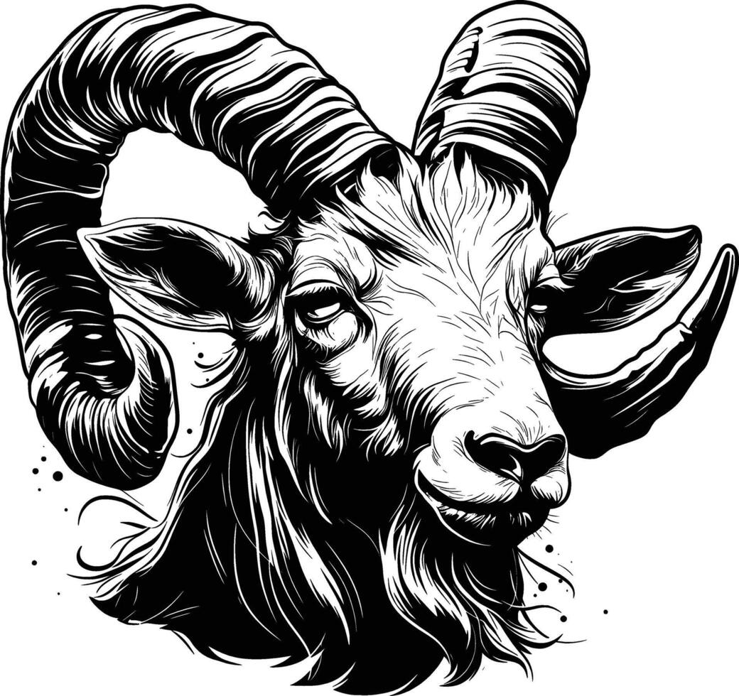 Goat Head Closeup Horns Beard Detailed Line Art vector