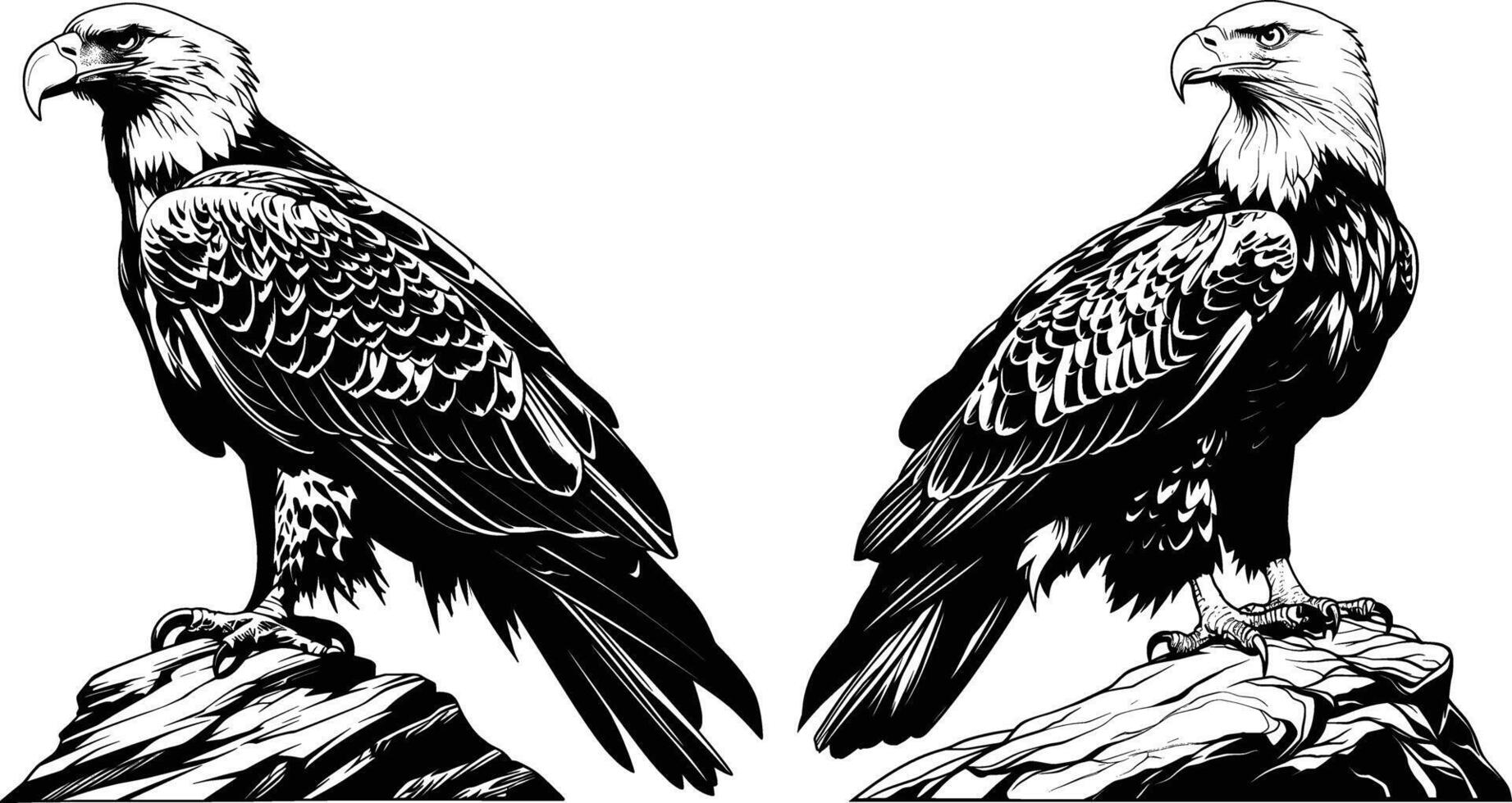 Two Eagles Perched Rocky Cliffs Black White Line Art Mountain Birds vector