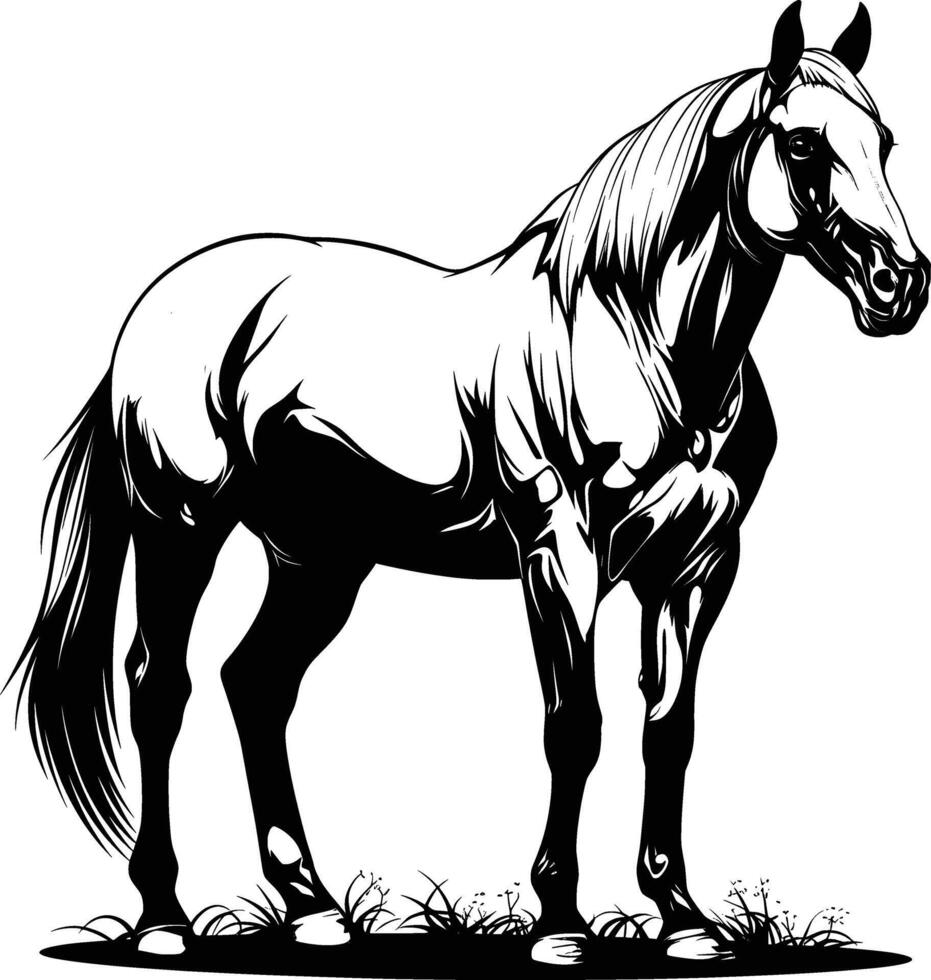 Alert Horse Standing Side View Black White Line Art vector