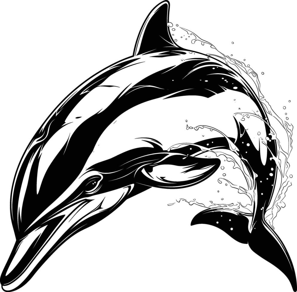 Dolphin Water Surface Movement Black White Line Art Marine vector