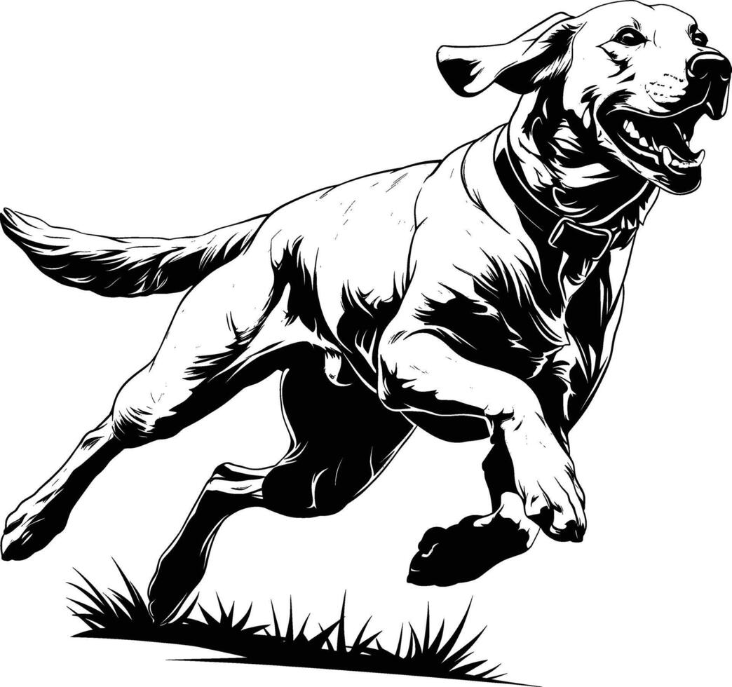 Energetic Dog Sprint Athletic Action Black White Line Art High Energy vector