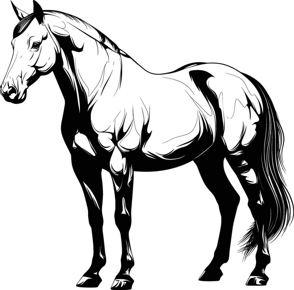Standing Horse Profile Black White Line Art vector