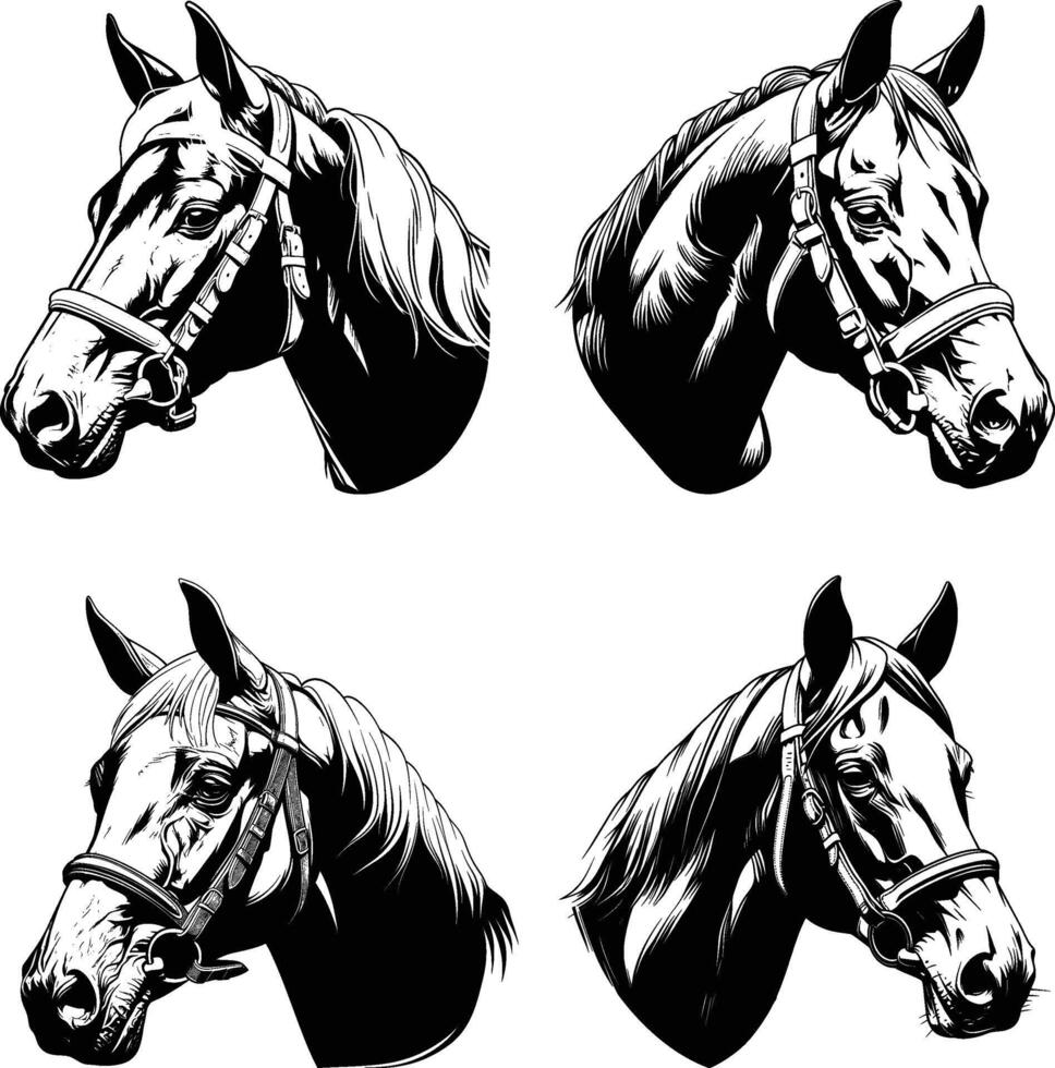 Multiple Horse Head Profiles Black White Line Art Collection vector