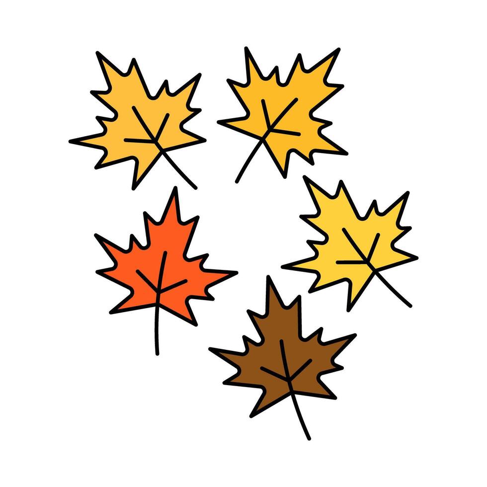 autumn maple leaves design illustration vector
