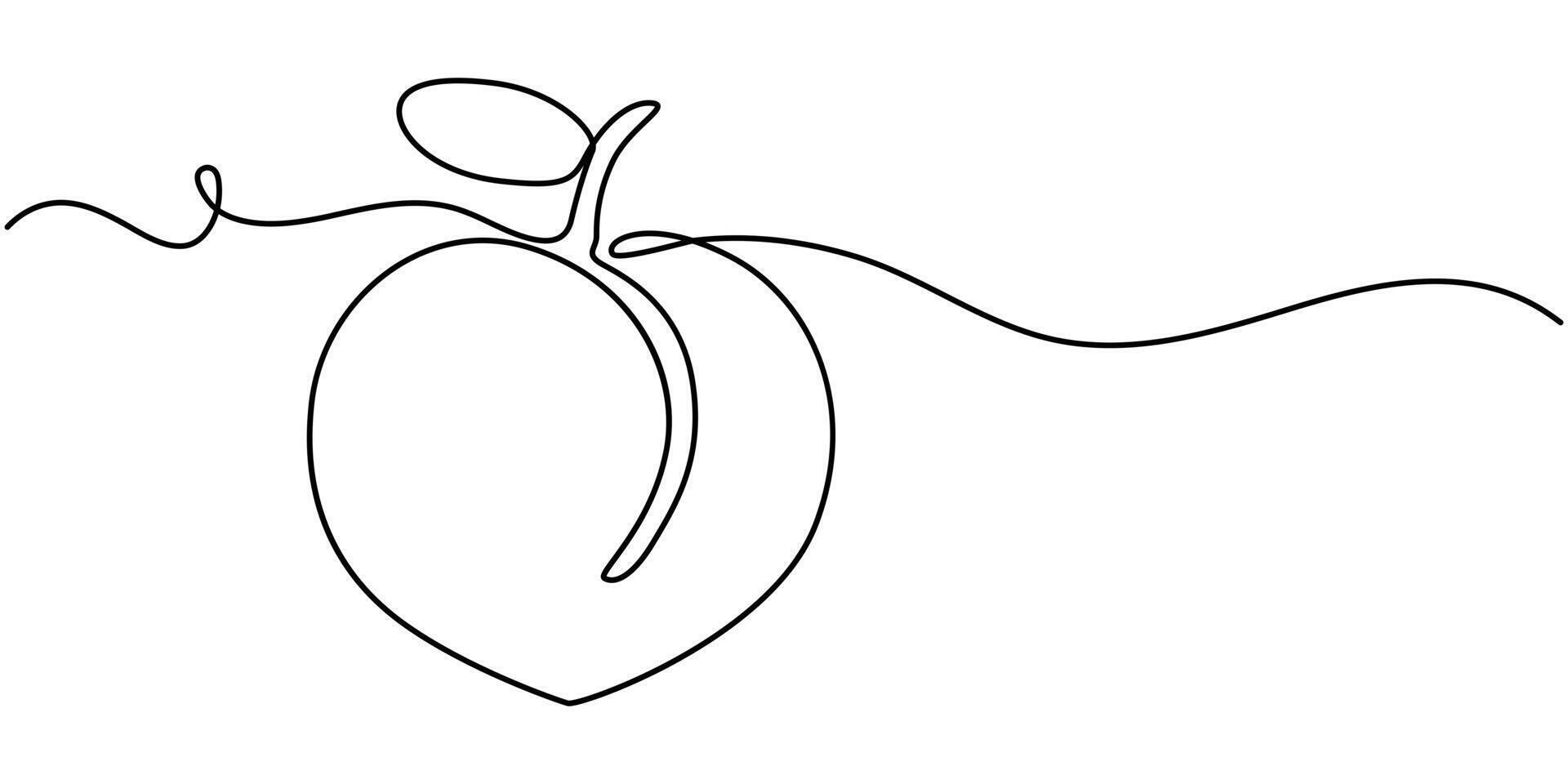 Peach fruit in continuous line art drawing style. Simple black sketch made of one line isolated vector
